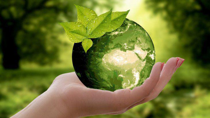 especial-sustentabilidad