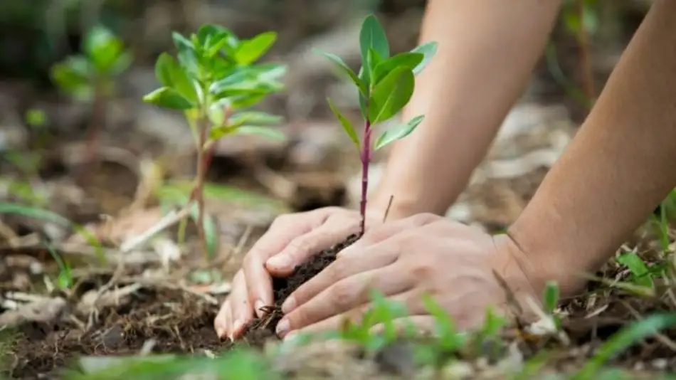 medio-ambiente-cedoc-1128708