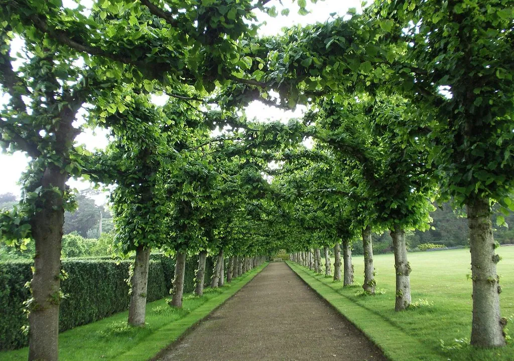 estudo-comprova-que-os-efeitos-do-aquecimento-global-podem-ser-travados-atraves-do-aumento-da-reflorestacao-1708382347813_1024