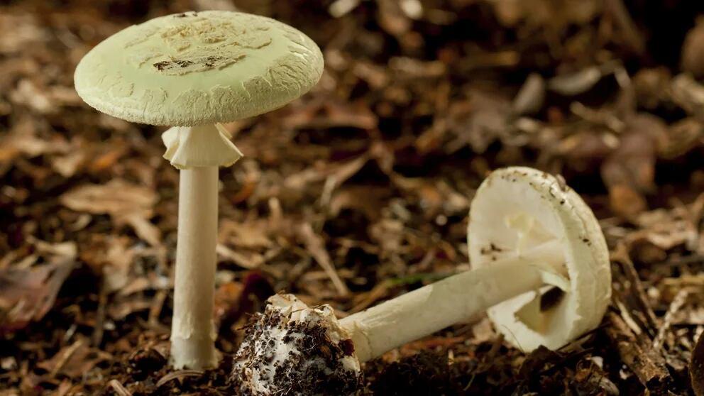 JX26EE27PBH27E7T2ORY4W57UI