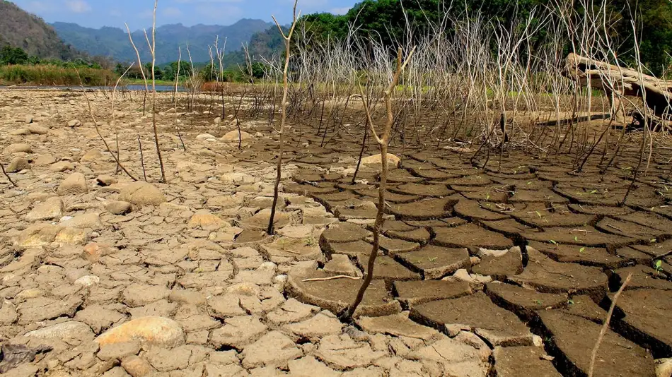 medio-ambiente-20200604-966995