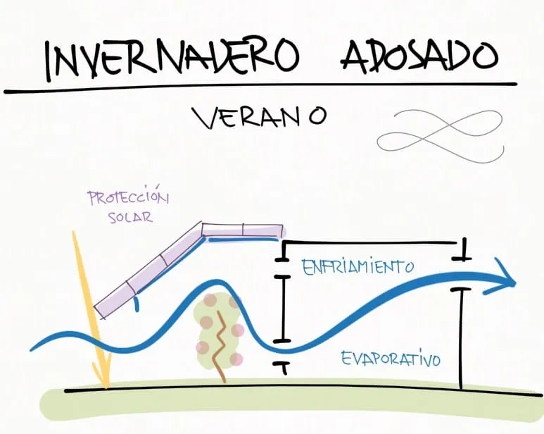 Invernadero-Adosado-verano