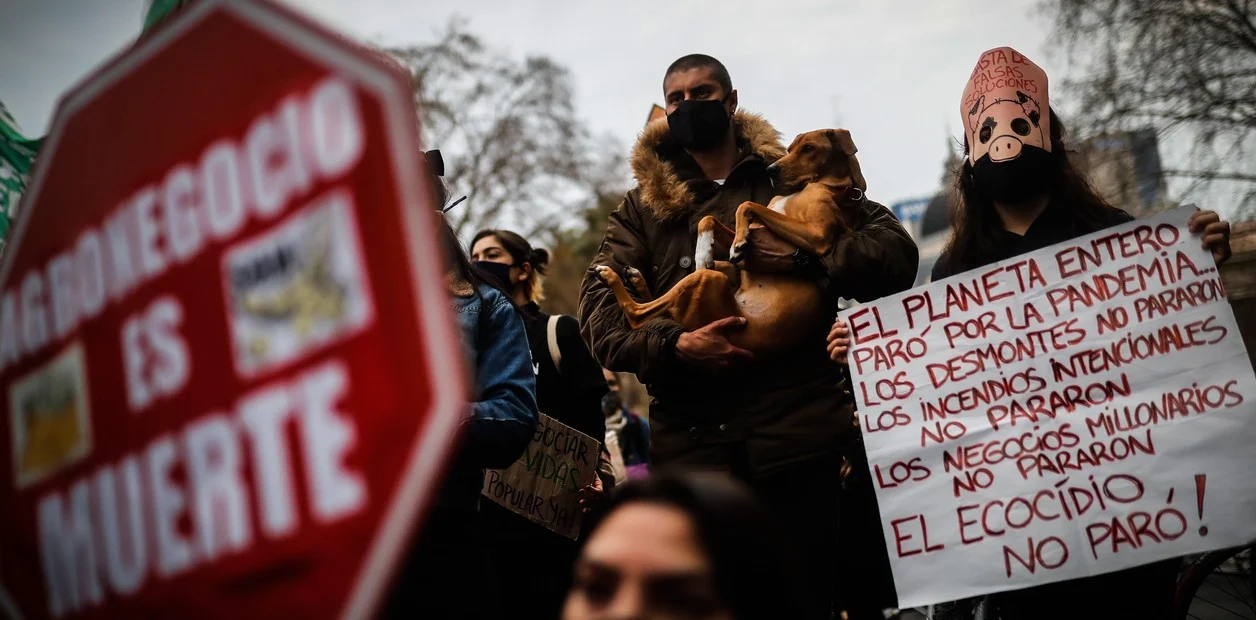 grupos-ambientalistas-en-una-marcha___zclzgjozN_1256x620__1