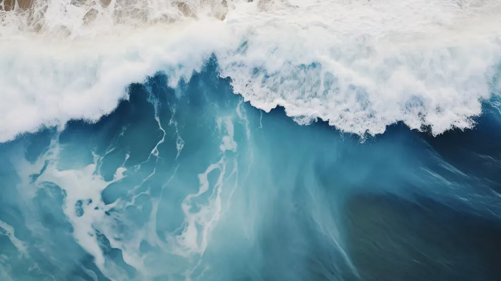 YPEJ3RNTHVGMPORPNW36AFKMUY