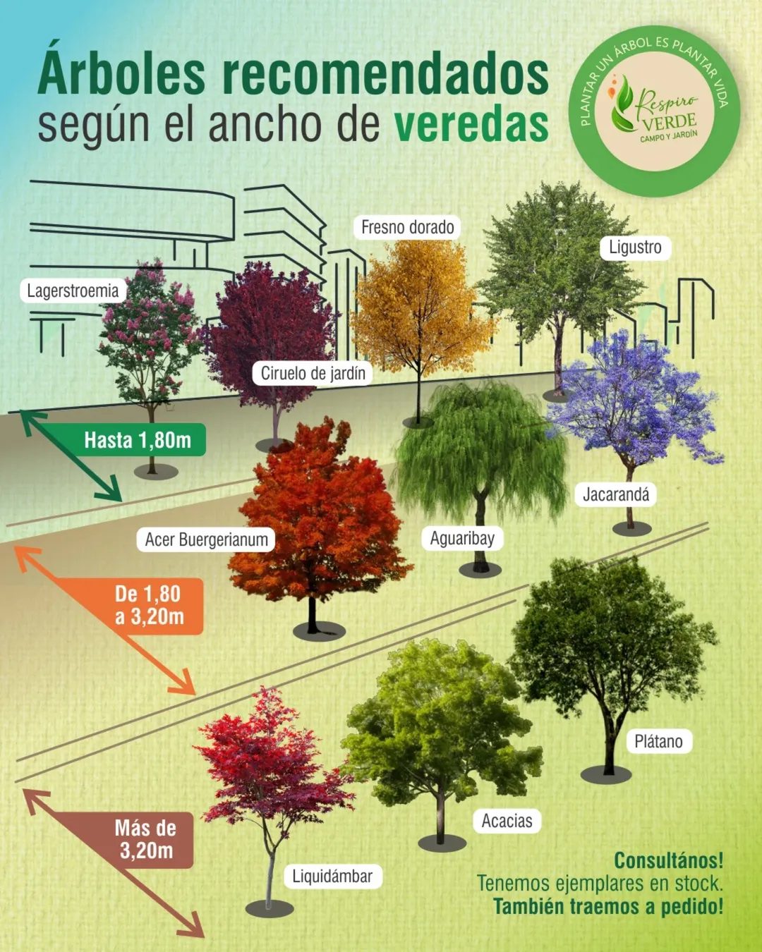 518994148_18053549618579283_8656460182995829444_n