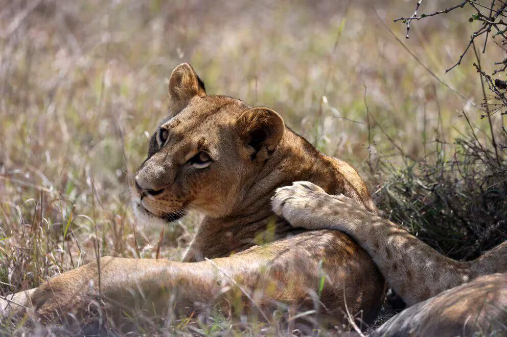 O7RUYHODXNMAYT2NCM6OADJBLM