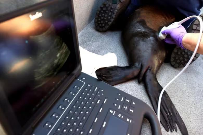 un-estudio-reciente-vincula-el-ddt-a-una-forma-64VQCPJAFRGWDPFGIRVPLQXD2E