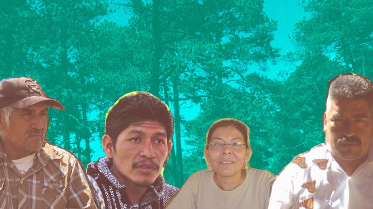 activistas-ambientales-mexico-1200x675