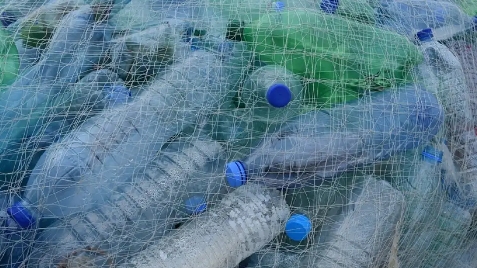 Plastico/Residuos/Botellas