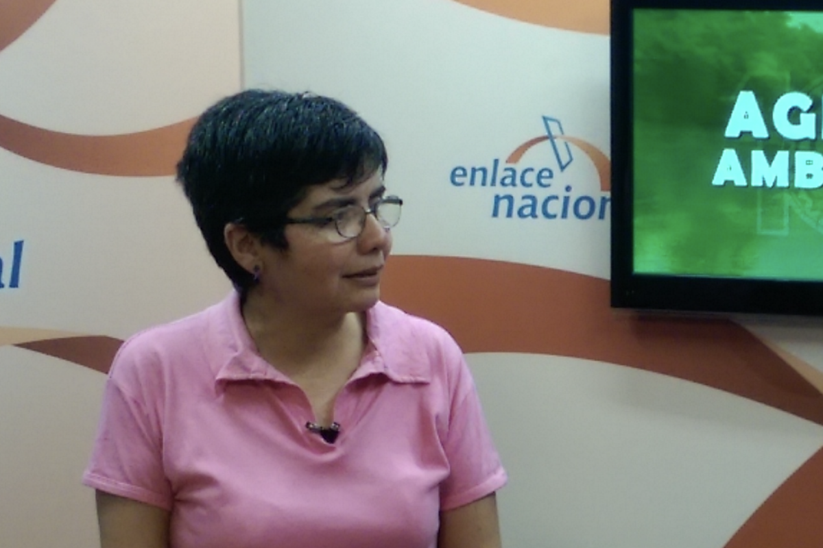 Captura-de-pantalla-2024-12-27-a-las-14