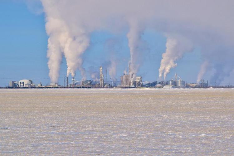 Nueva-investigacion-demuestra-que-para-enfrentar-la-crisis-climatica-debemos-erradicar-los-fertilizantes-quimicos-tras-50-anos-de-uso-desenfrenado_full