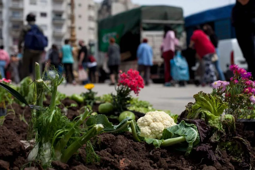 crisis_climatica-cuasas_soluciones-salida-08-1024x683