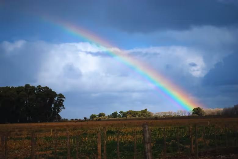 para-gattinoni-diciembre-pasado-hay-un-40percent-WMFJ54EZCJEEFKOJZYBUXUOHSA
