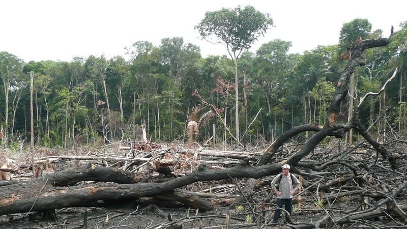 deforestacixn.jpg_1756841869