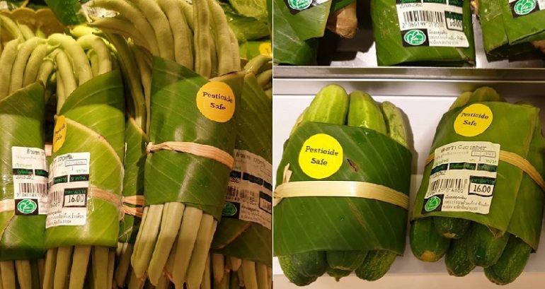 vegbanana-770x409