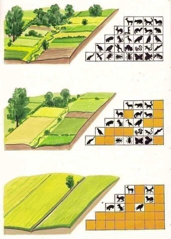 119746931_2712170262354990_6077632292539837156_n