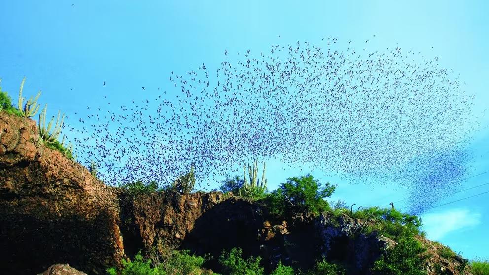 EGNRMITSMRBEZHCBREVF7RVP3E