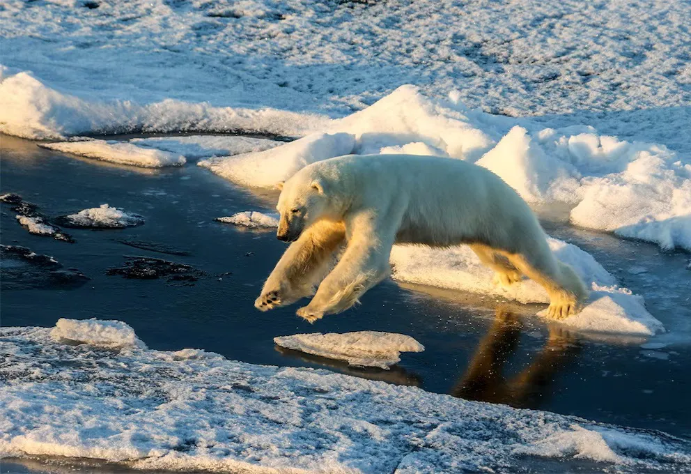 DWBI3YSNHFGDHLYWNKLTK4Q4TU