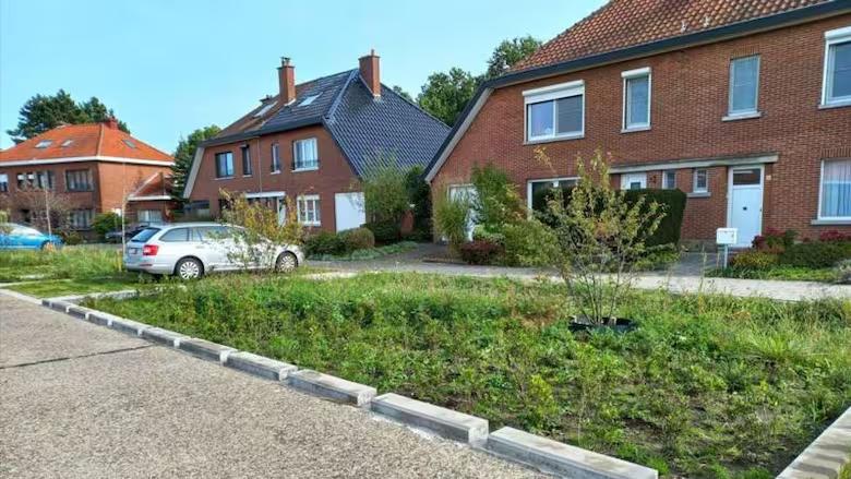 la-despavimentacion-abre-a-espacios-que-pueden-EM53TEWFRNHP7F6T5B6C3YWCJM