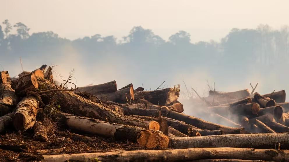 GFRL3IQMGFFIJBAD5KENNBXM7Y