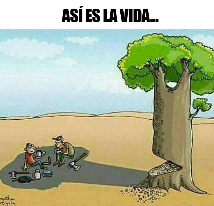 104043821_2927156263986281_8392624652078373916_n