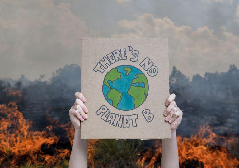 la-pandemia-no-detiene-el-avance-implacable-del-cambio-climatico-covid19-coronavirus-278271-1_768