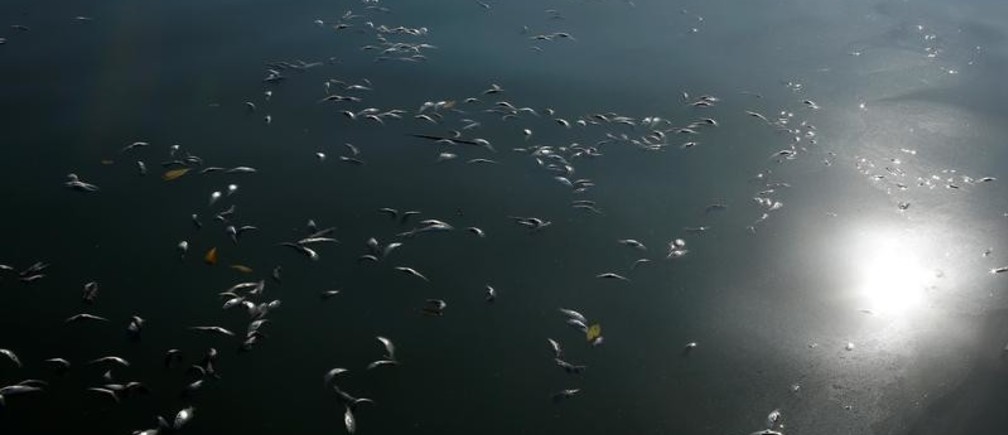 large_ydDWGDVePqqNGHfqFALMKfzsKJue-70Zy9MUAjBL_mU