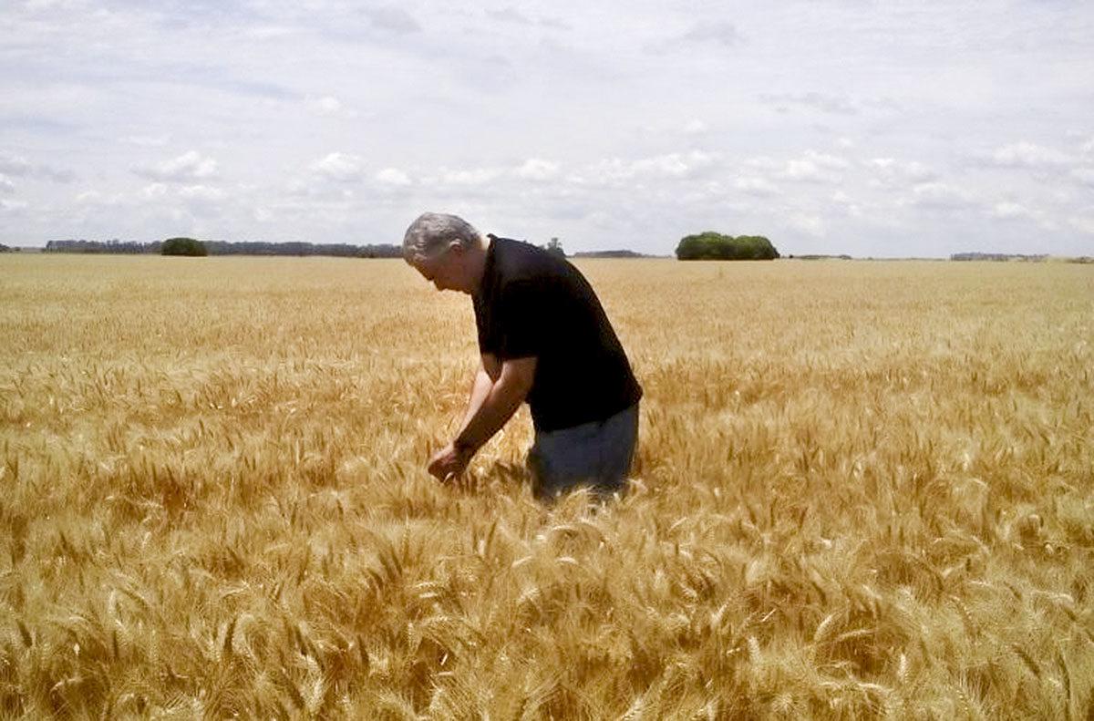 Campo/Sequia/Cosecha