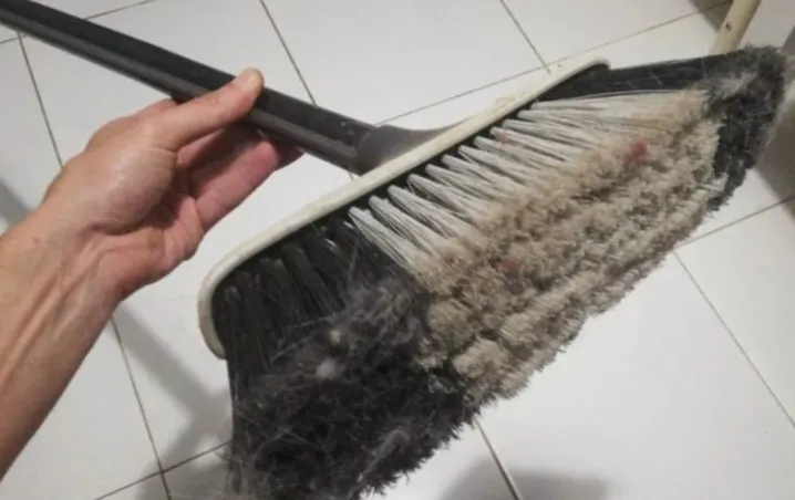 vecchia-scopa-imilanesi_nanopres_x1x.jpg_793492074