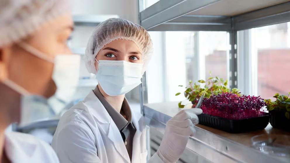 MRUMGLZRD5DN7GVWPUIXOHG6GQ