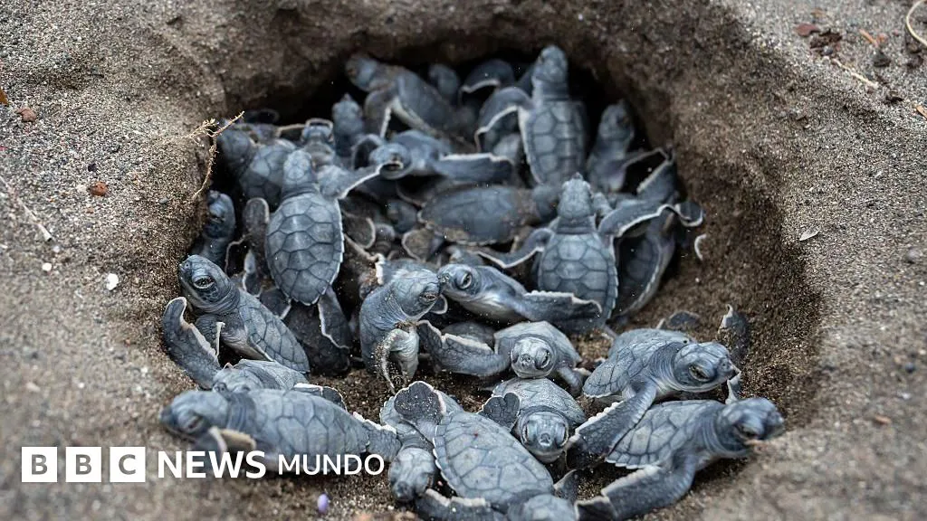 50f9d380-db4d-11f0-a244-8faaf09b4725