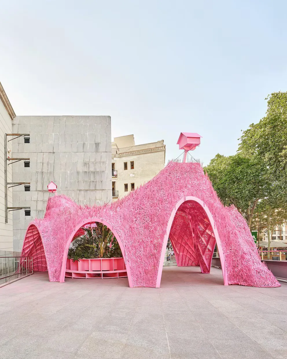 6R6DXYX74VC7FFB5NGKHBEZM6U