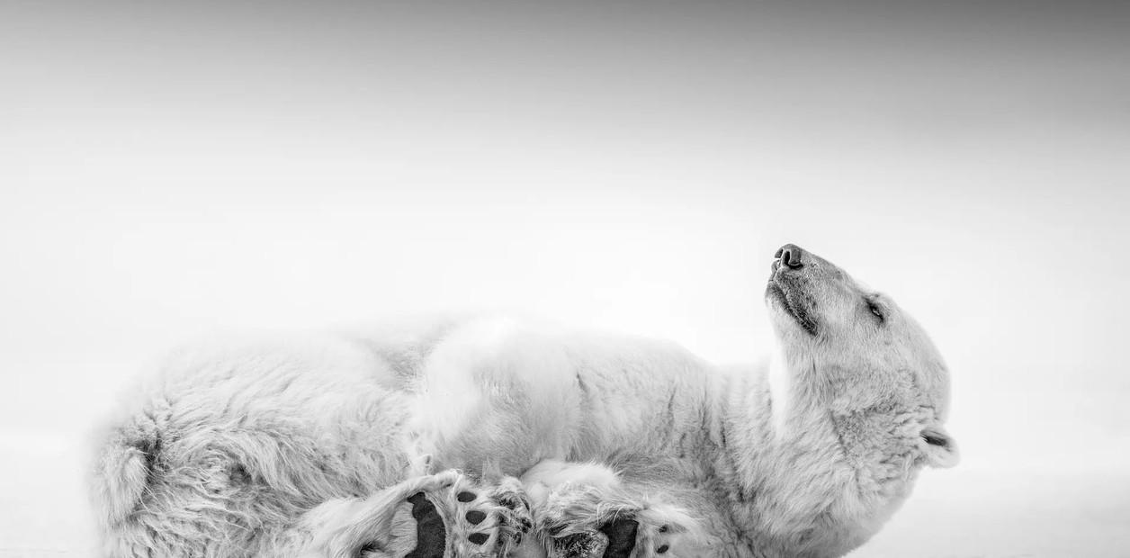 yt5Kij6UM_1256x620__1