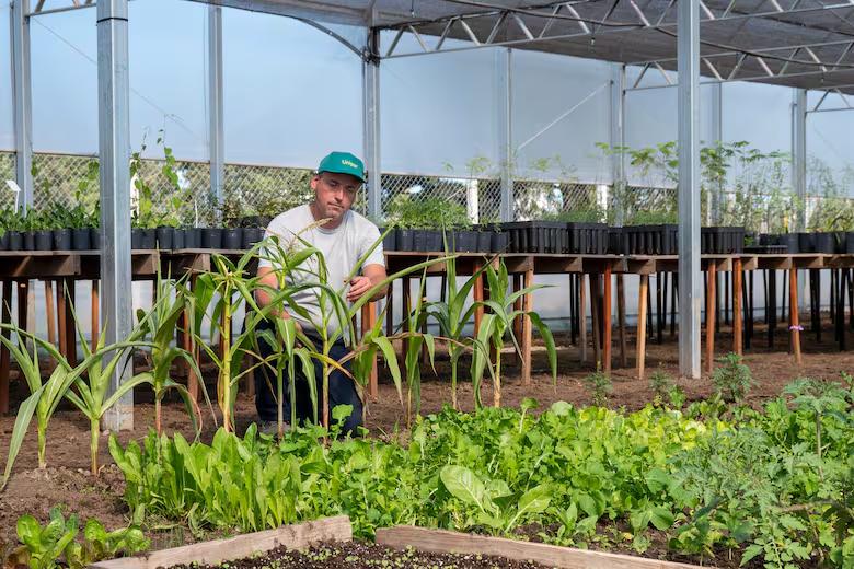 vivero-unipar-en-bahia-WCDMASCMABDN7C2HMHDYP25PTY