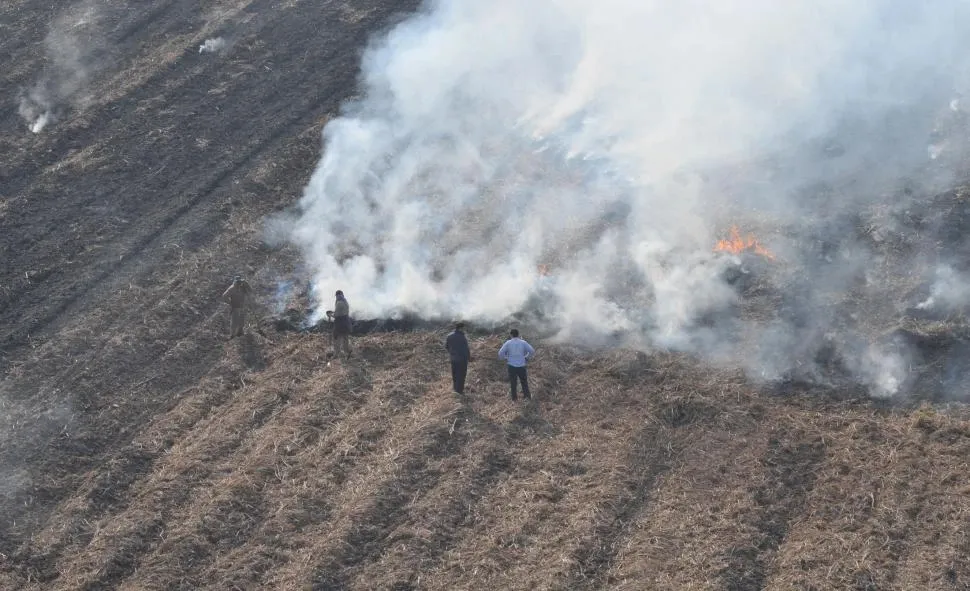 970x591_1052528_202409211950590000001