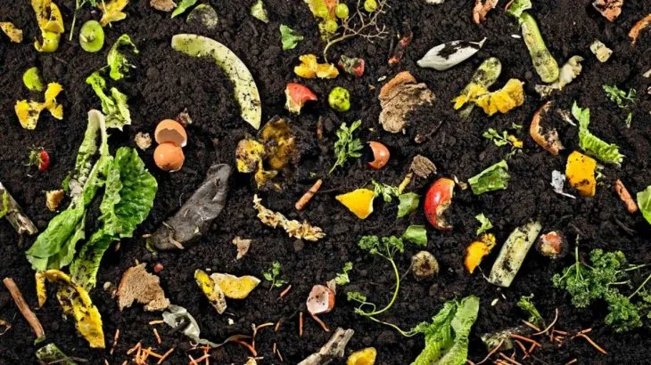 compostjpg