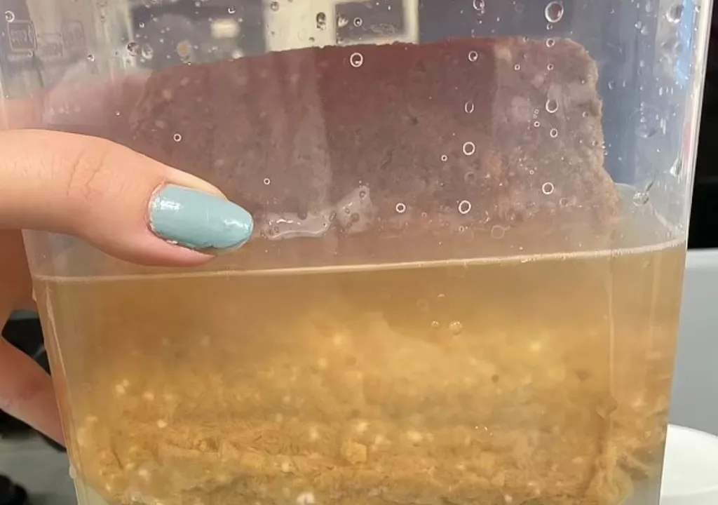 hay-microplasticos-en-casi-el-90-de-la-carne-para-consumo-humano-informa-un-estudio-1705341743244_1024