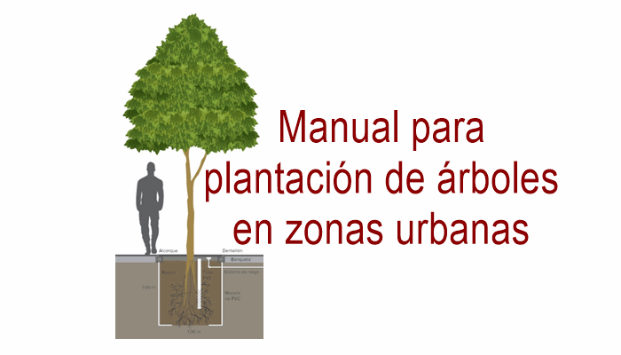 Manual para plantación de árboles en zonas urbanas