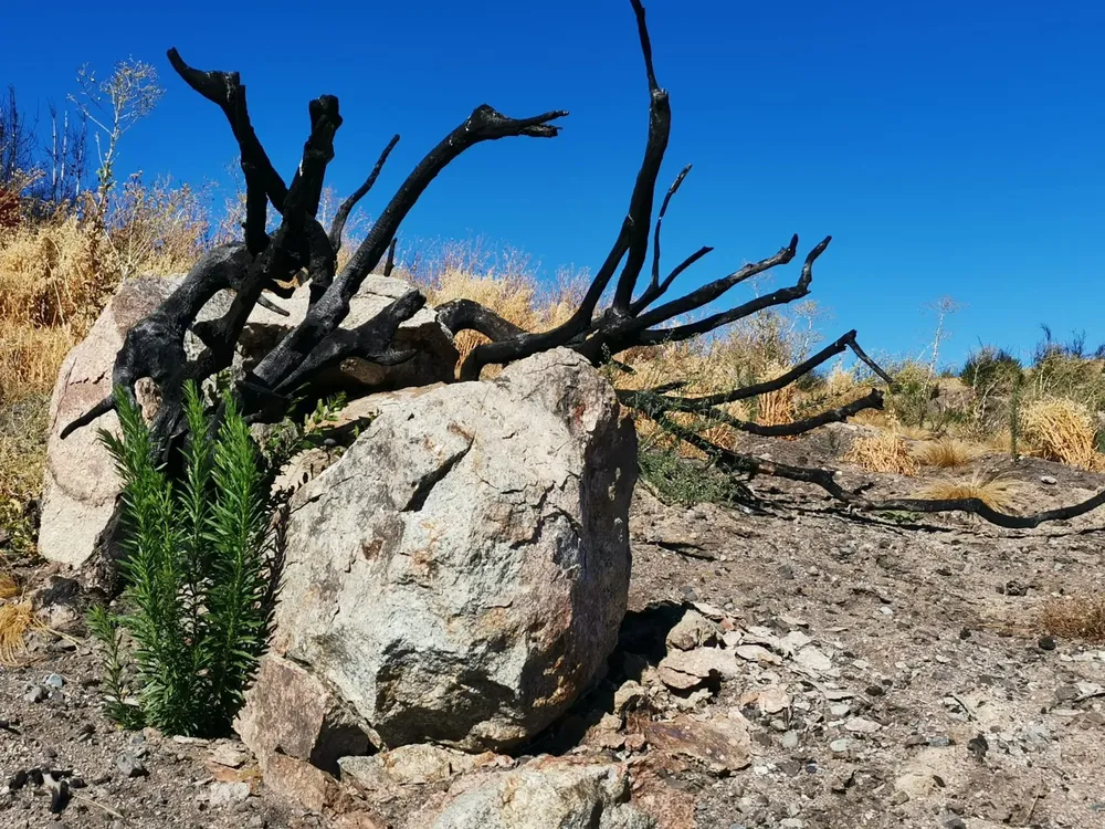 c7182e5a-91b4-44b0-b3be-c48402d77697-1