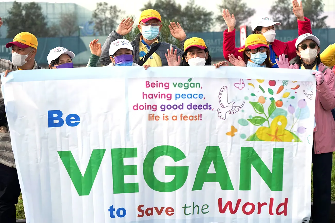 MQ52YDA3YBEXBKDO4TINWFDLEQ