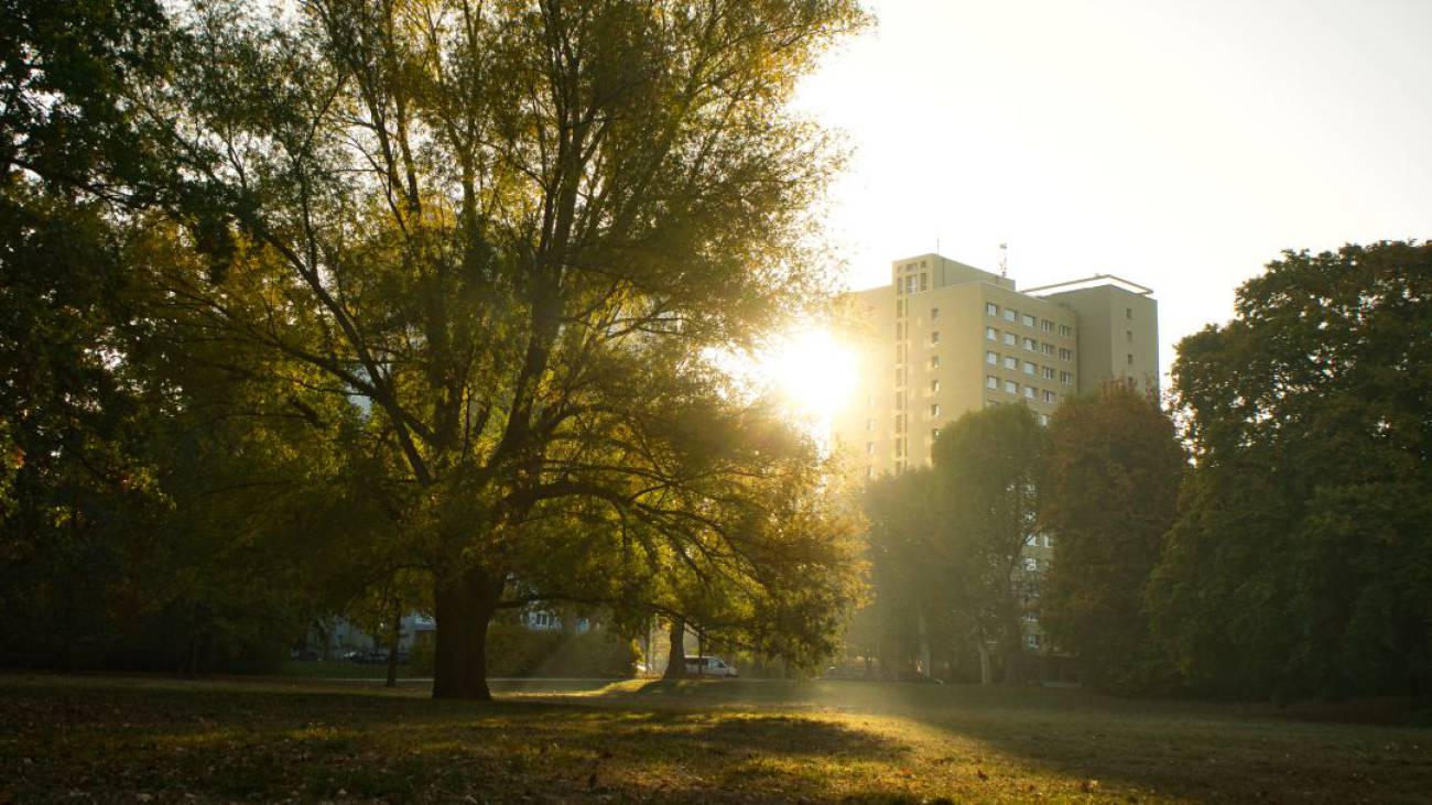 1574355104_882911_1574355297_noticia_normal_recorte1