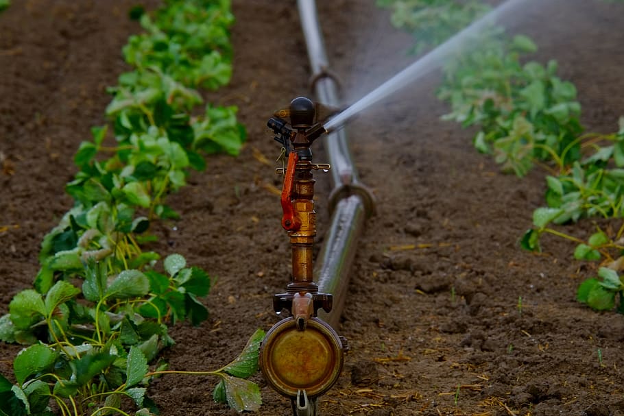 agua-agricultura