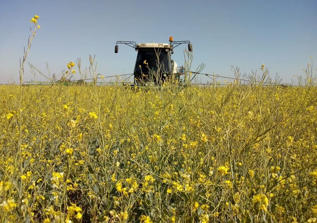 boom-productivo-cultivo-crece-argentina-combustible-aviones-campo-agro-1709805687695_1024