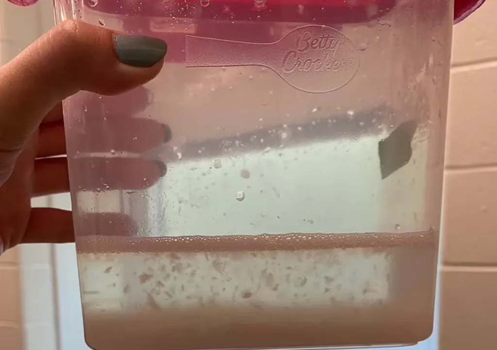 hay-microplasticos-en-casi-el-90-de-la-carne-para-consumo-humano-informa-un-estudio-1705341664933_1024