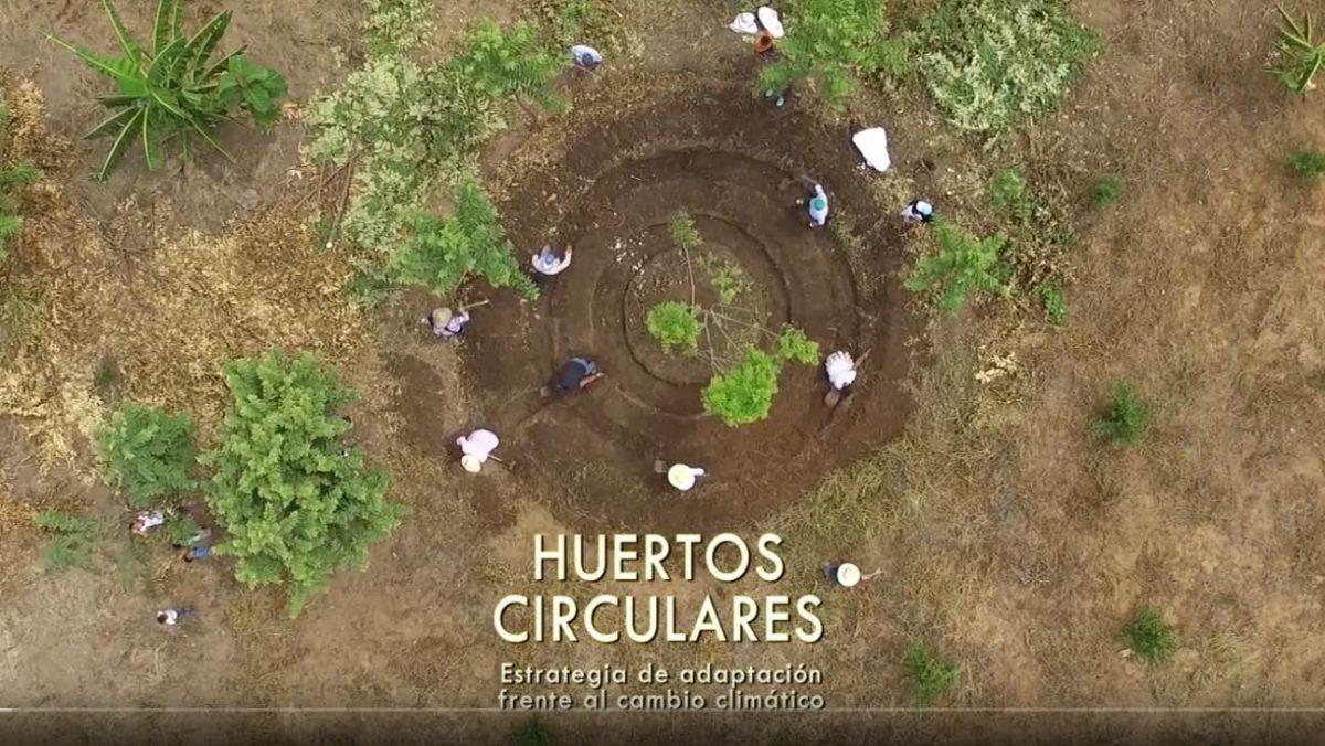 Huertos-circulares-contra-el-cambio-climatico