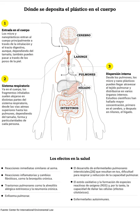 Plastico_copia_Cuerpo_5f67fb77fa