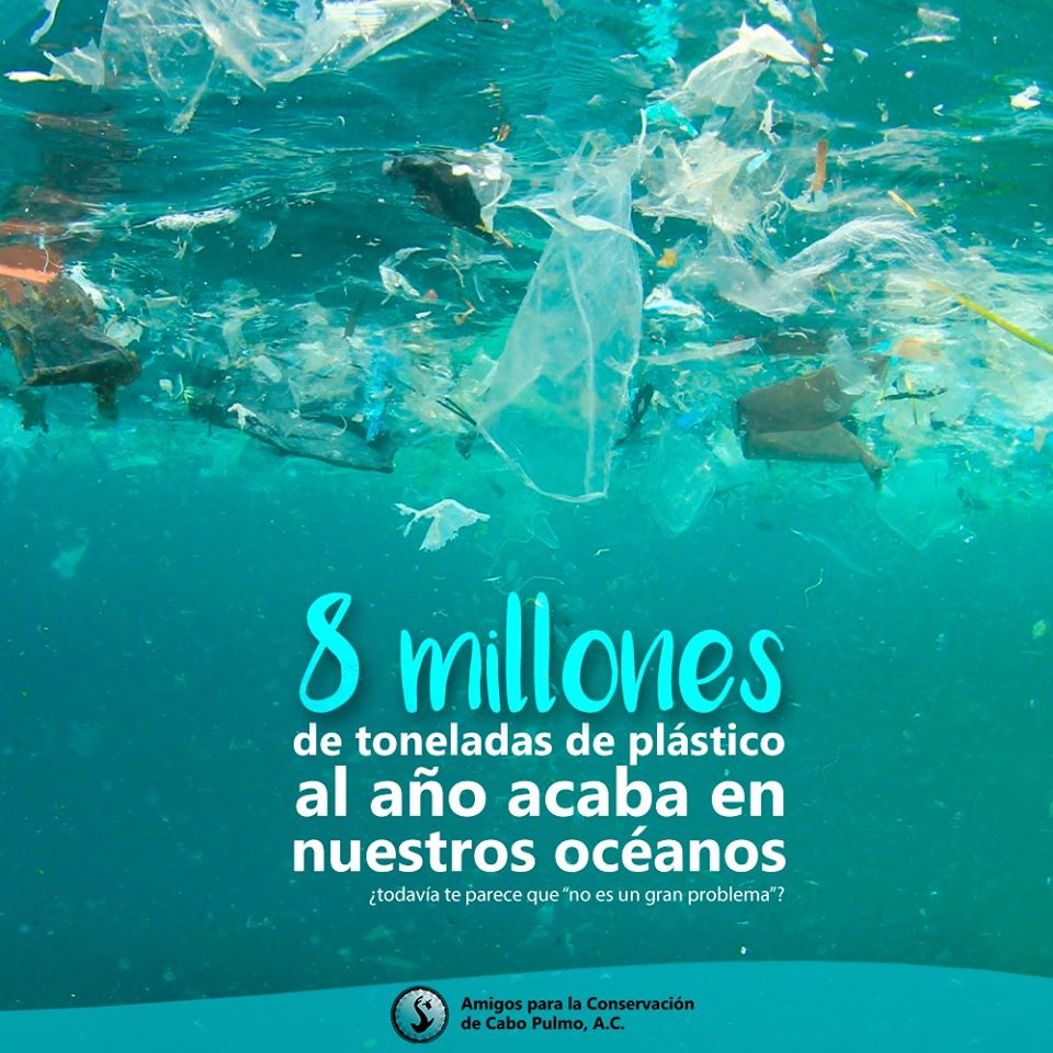 82361225_3380066302066762_3417672568834883584_o