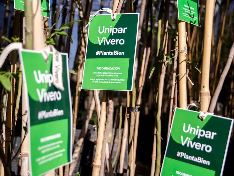 el-grupo-unipar-viene-trabajando-en-proyectos-XILVUAMBHRDCRO4RUQRYXTICGI