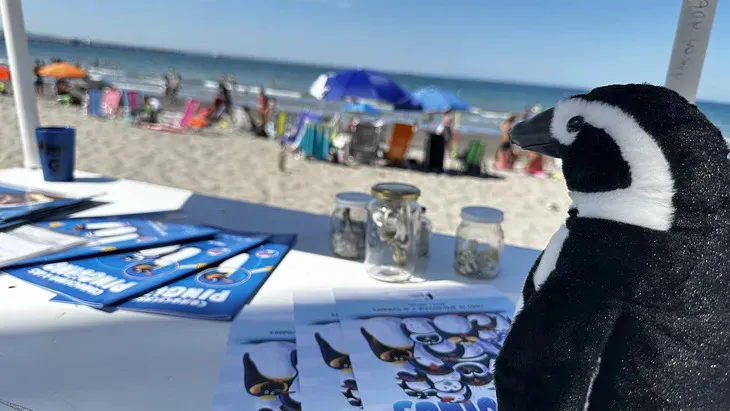 global-penguin-society-campana-eliminacion-plasticos-pablo-borboroglu-pinguinos-_1_