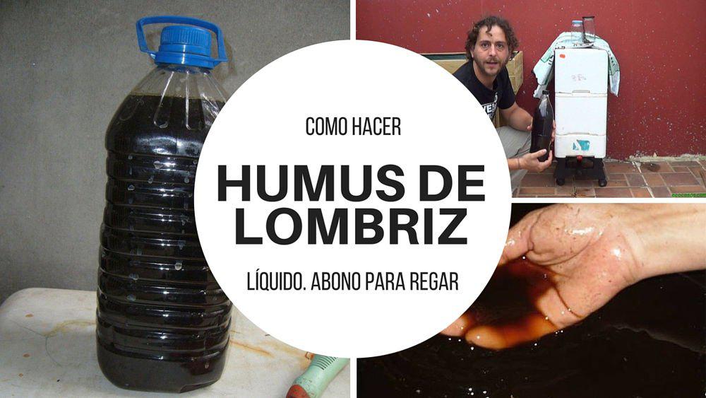 Como-hacer-humus-de-lombriz-liquido